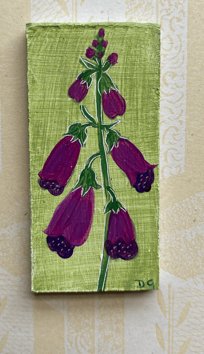 Image of Tiny Foxglove (2)