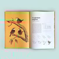 Image 5 of Le Grand Livre des Oiseaux de Fontevraud