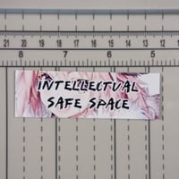 Intellectual Safe Space Slap