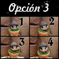 Image 5 of Pack mesa expositora + 5 mini mandrágoras