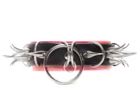 Image 2 of "It's not a phase mom" collar