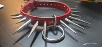 Image 1 of 'Guard Dog' Collar