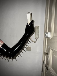 Image 1 of Thorned Opera Gloves