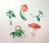 Stem Sticker Set