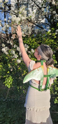 Image 2 of The Luna Chest Harness