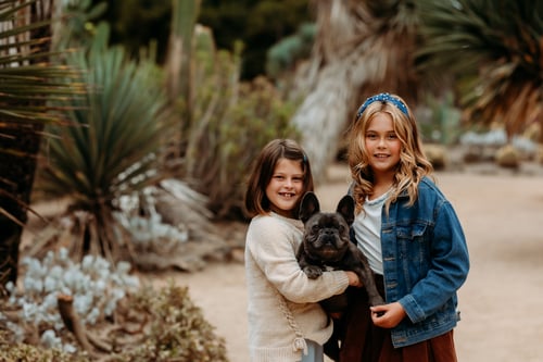 Image of Cactus Garden Minis Friday, September 26th & Friday, October 17th