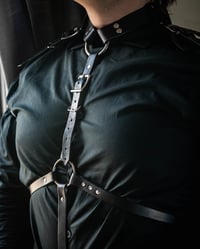 Image 4 of The Director- Harness