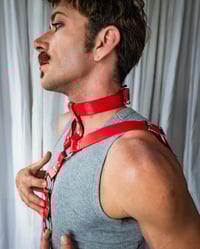 Image 3 of Oden- Harness