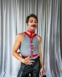 Image 1 of Oden- Harness