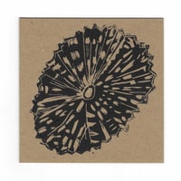 Image 1 of Limpet keepsake card & envelope