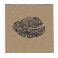 Cowrie keepsake card and envelope