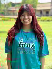 Image 1 of Square Lions 