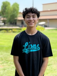 Image 2 of Lions Baseball