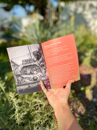 Image 2 of MONARCA: the zine