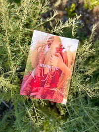 Image 4 of MONARCA: the zine