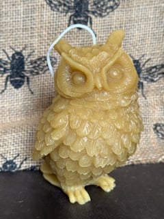 WISE OWL CANDLE  * VELA DE BUO SABIO