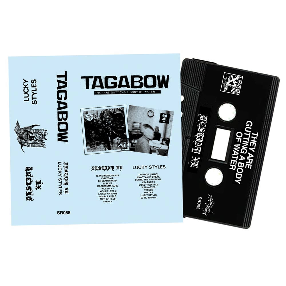 Image of They Are Gutting A Body of Water "Two Things At Once" CS **PRE-ORDER**