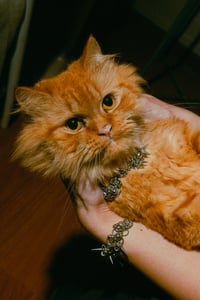 Image 3 of IN BLOOM NECKLACE