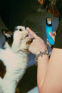 Image 2 of SPUNK! BRACELET