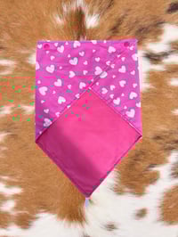 Image 5 of Sun Neck Scarves - Misc Prints