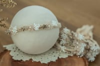 Image 2 of Stretch Tieback 5