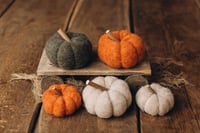 Image 2 of Cosy Pumpkins