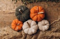Image 3 of Cosy Pumpkins