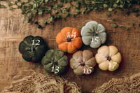 Image 5 of Material pumpkins