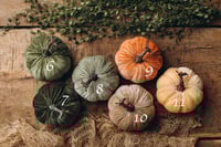 Image 4 of Material pumpkins