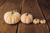 Image 7 of Material pumpkins