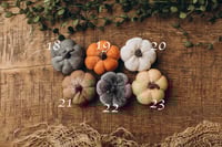 Image 6 of Material pumpkins