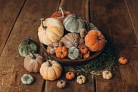 Image 8 of Material pumpkins