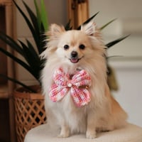  CROCHET BOW - PEACH PUFF