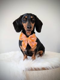CROCHET BOW - BUTTERSCOTCH