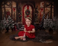 Image 1 of Christmas MINI Sessions 2025 (BOOKING DEPOSIT)