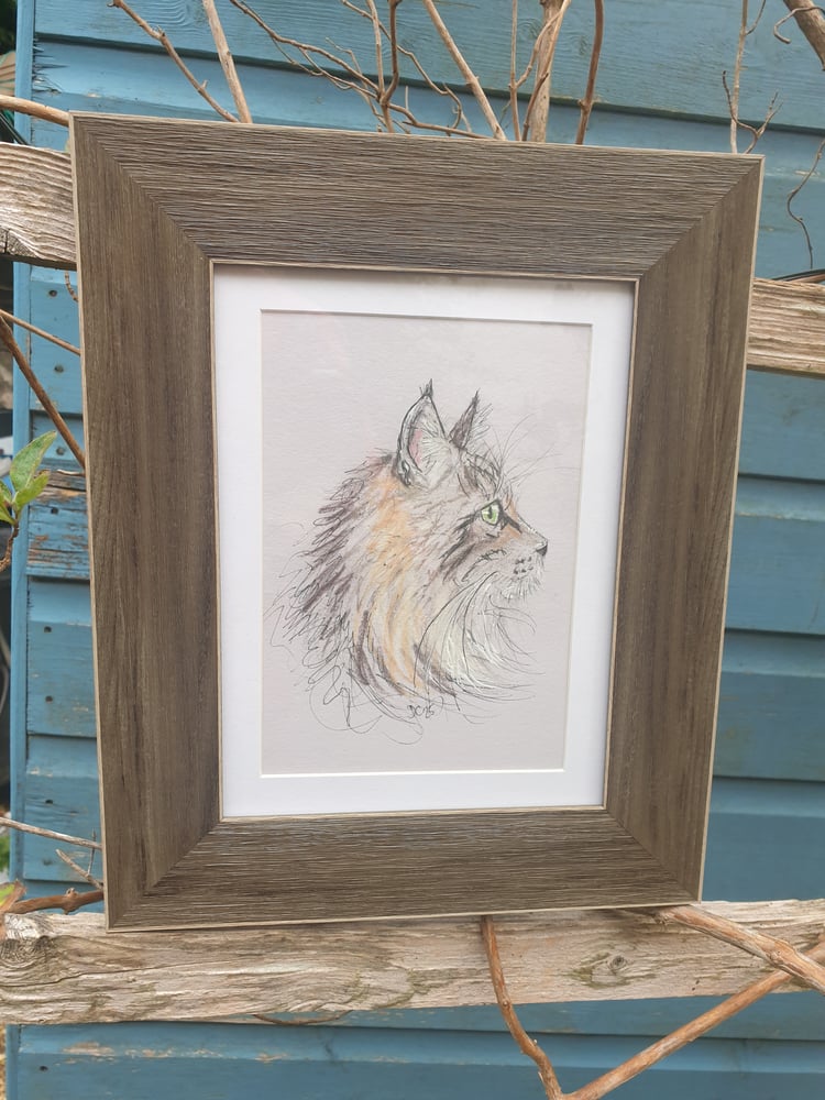 Image of Framed  cat sketch