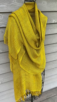 Image 1 of GoldieB