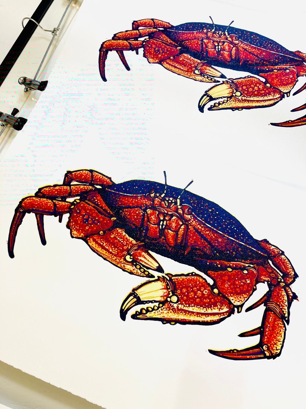 Crab linocut print 