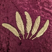 Image 1 of Set of 5 Resin Feathers Wall Art