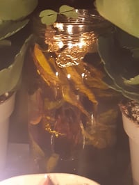 Image 2 of Exalted Jupiter Conj. Venus Oil