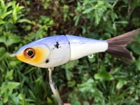 Image 5 of SPEEDBAITS Custom Airbrushed Swimbait 9605
