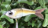 Image 1 of SPEEDBAITS Custom Airbrushed Swimbait 4056