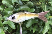 Image 2 of SPEEDBAITS Custom Airbrushed Swimbait 4056