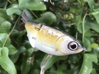 Image 3 of SPEEDBAITS Custom Airbrushed Swimbait 4056