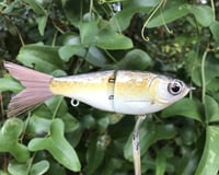 Image 4 of SPEEDBAITS Custom Airbrushed Swimbait 4056