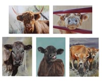 Image 2 of Greeting Card Packs 