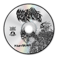 Image 2 of PLASMODULATED - "AN OCEAN OV PUTRID, STINKY, VILE, DISGUSTING HELL" CD