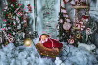 Image 9 of Newborn session