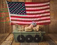 Image 12 of Newborn session