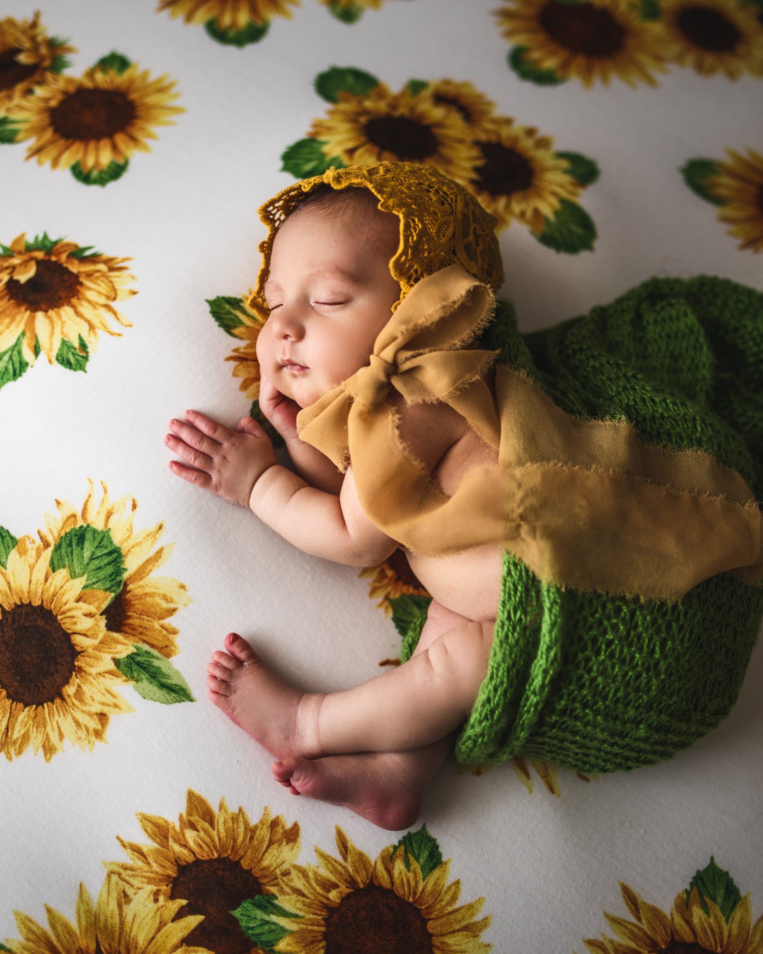Image of Newborn session